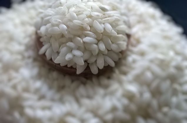 Das Bild zeigt Carnarolireis mit Holzlöffel in einer Reisschale.