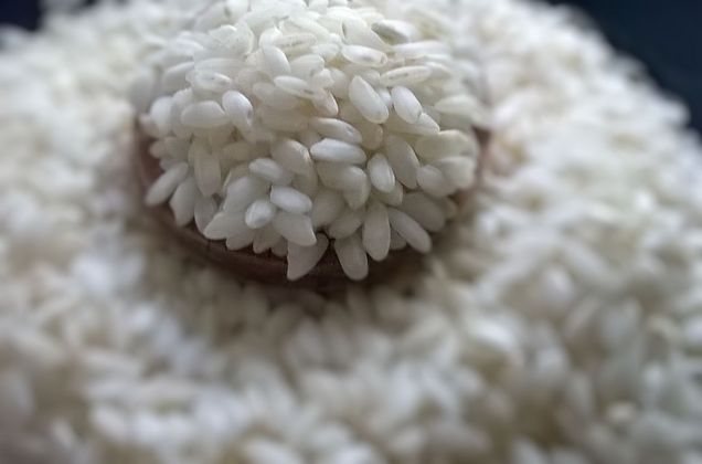 Das Bild zeigt Carnarolireis mit Holzlöffel in einer Reisschale. Das Bild zeigt Carnarolireis mit Holzlöffel in einer Reisschale.