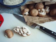 frische Egerlinge frische Egerlinge