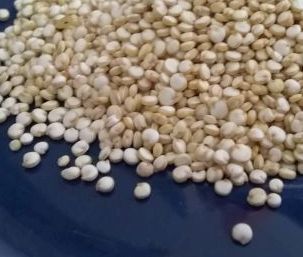 Das Bild zeigt eine Nahaufnahme von Quinoa. Das Bild zeigt eine Nahaufnahme von Quinoa.